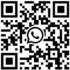 shanghai escorts